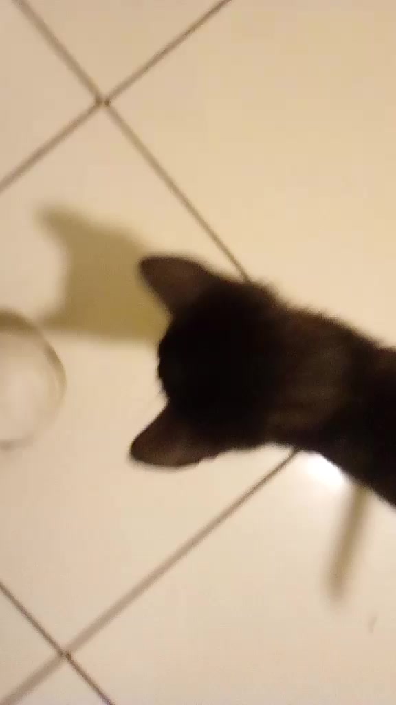 @āš šš~š„(*ĖįĖ*)