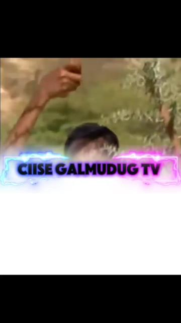 @CIISE GALMUDUG💚TV📺JAXAF.JXAF