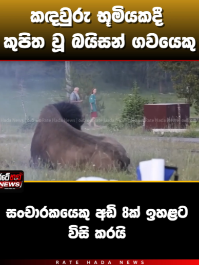 @Rate Hada News