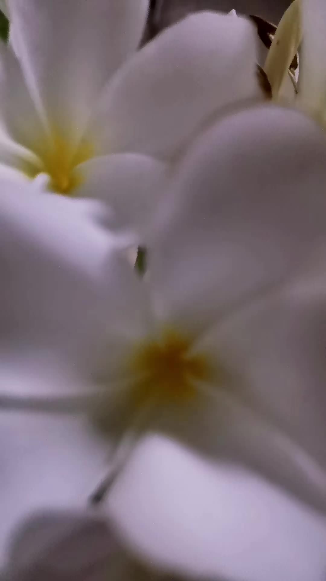 @pradeepanputhumala