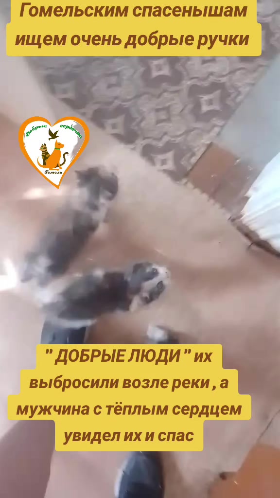 @Марина