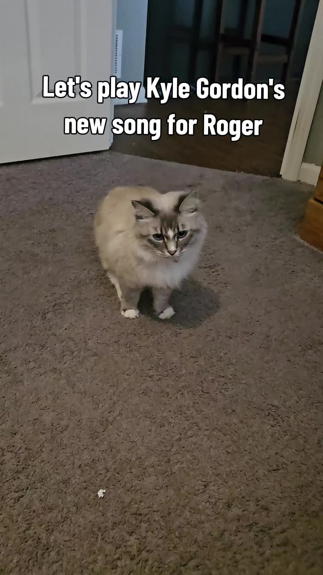@rogerbiscuits