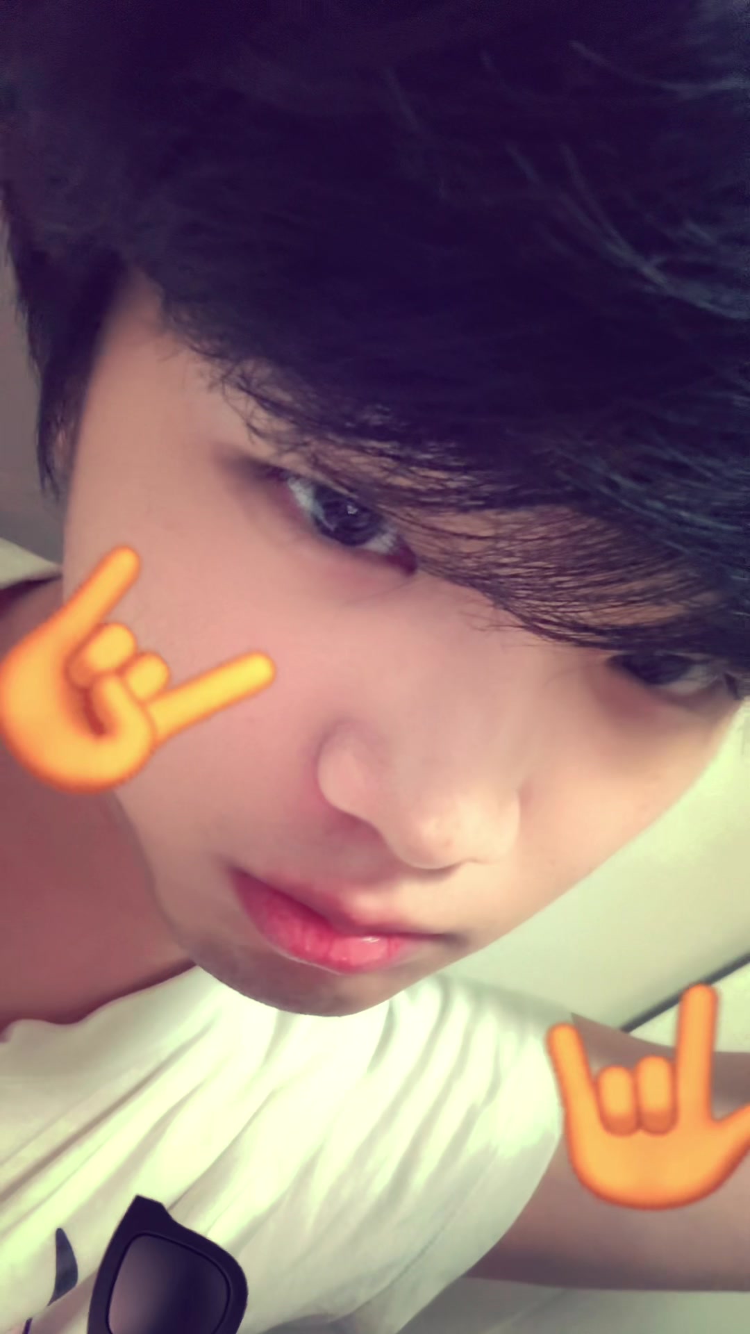 @고양이여덟마리키우는사람