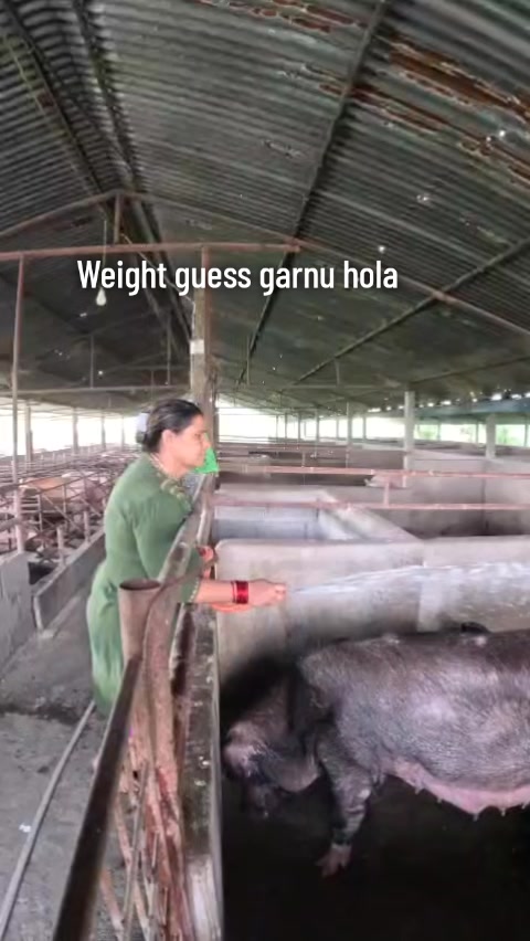 @Namita Dawadi