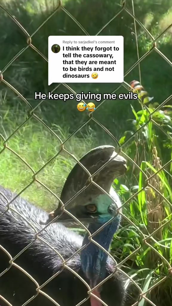 @Jimmy_Here🇦🇺
