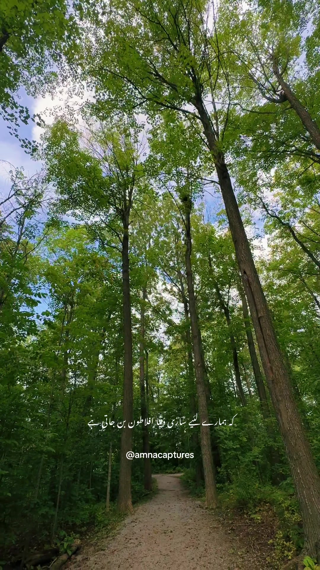 @Nature lover  🇨🇦