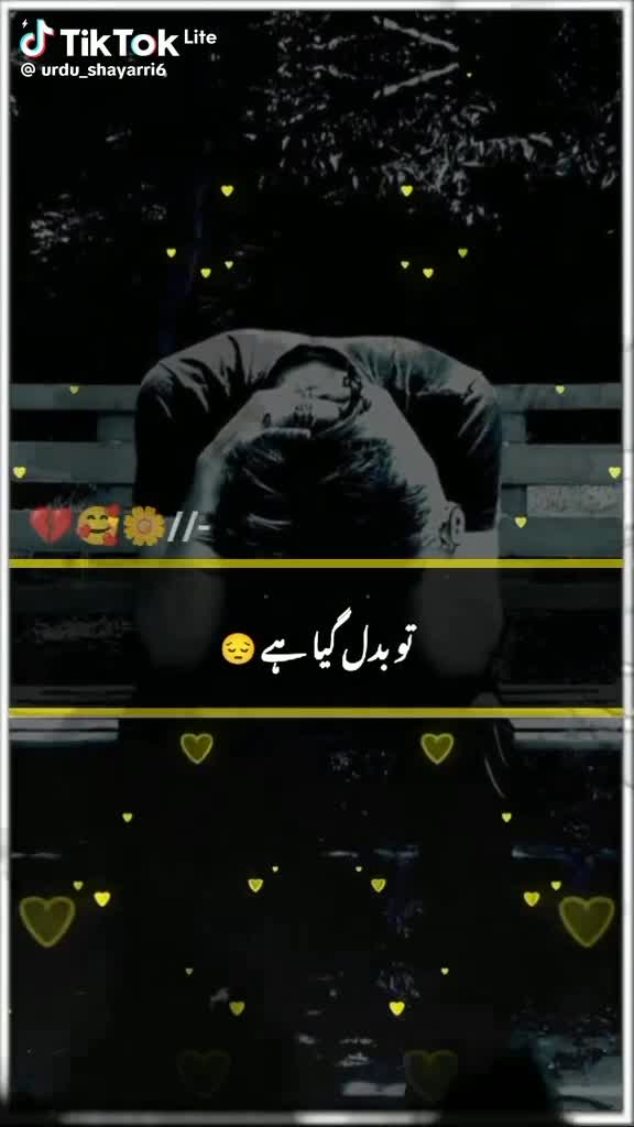 @ambreen
