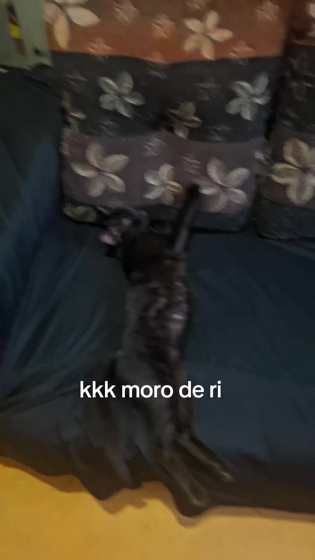 @Rosi