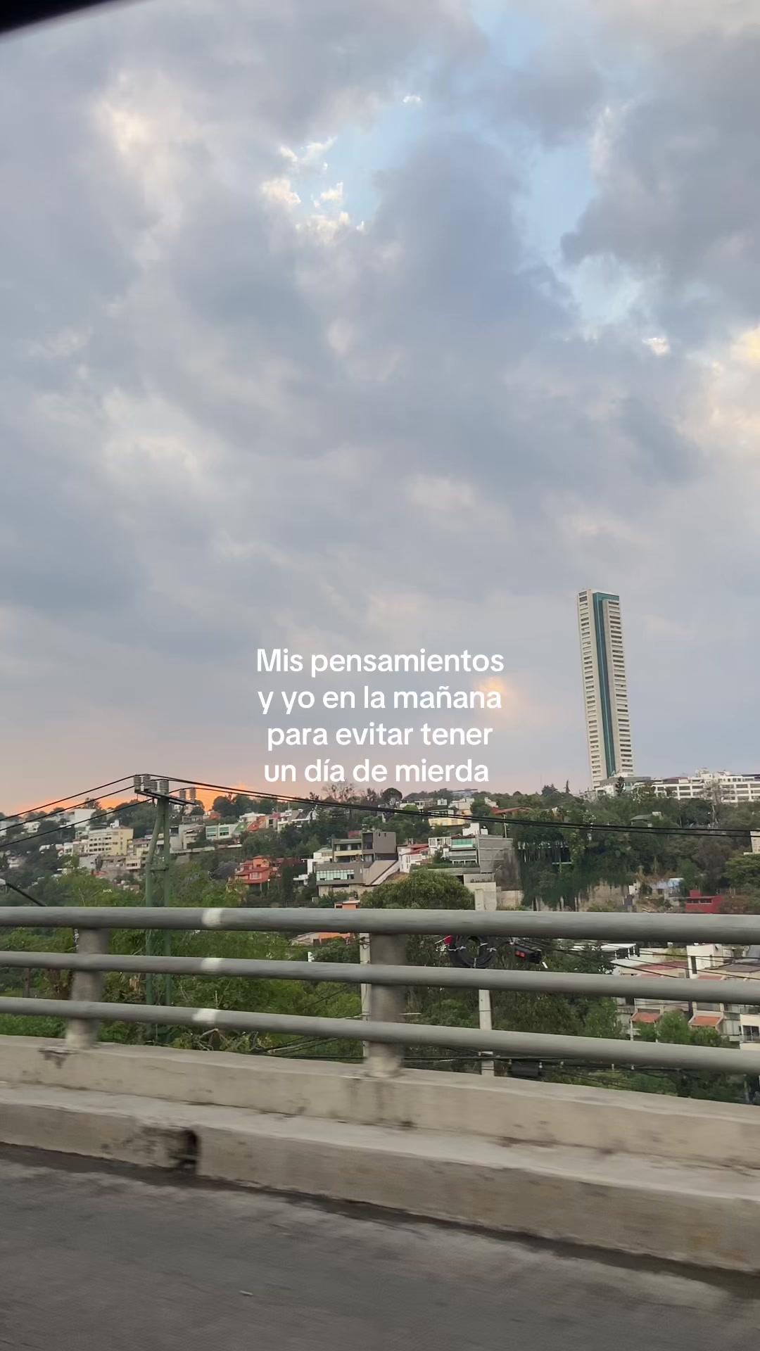 @lindacarrascosa🍄