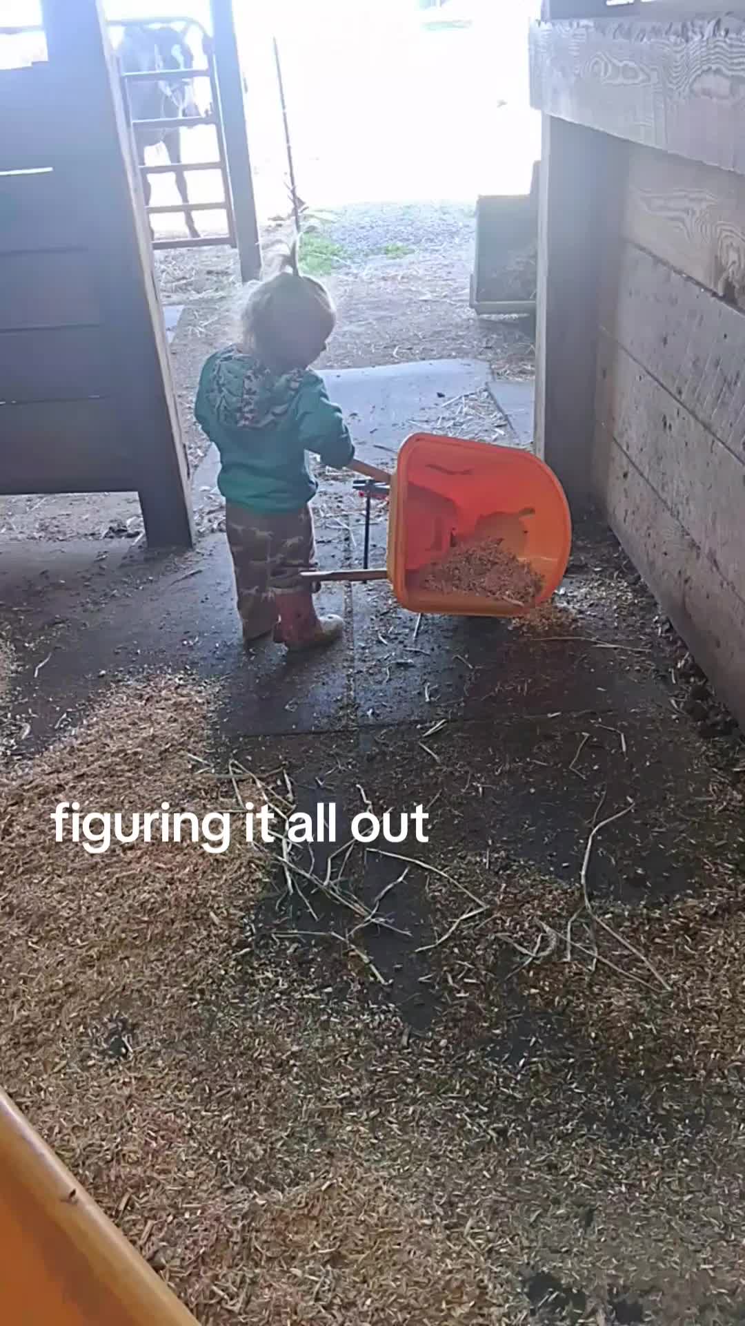 @Taylor | Sah{farm}m