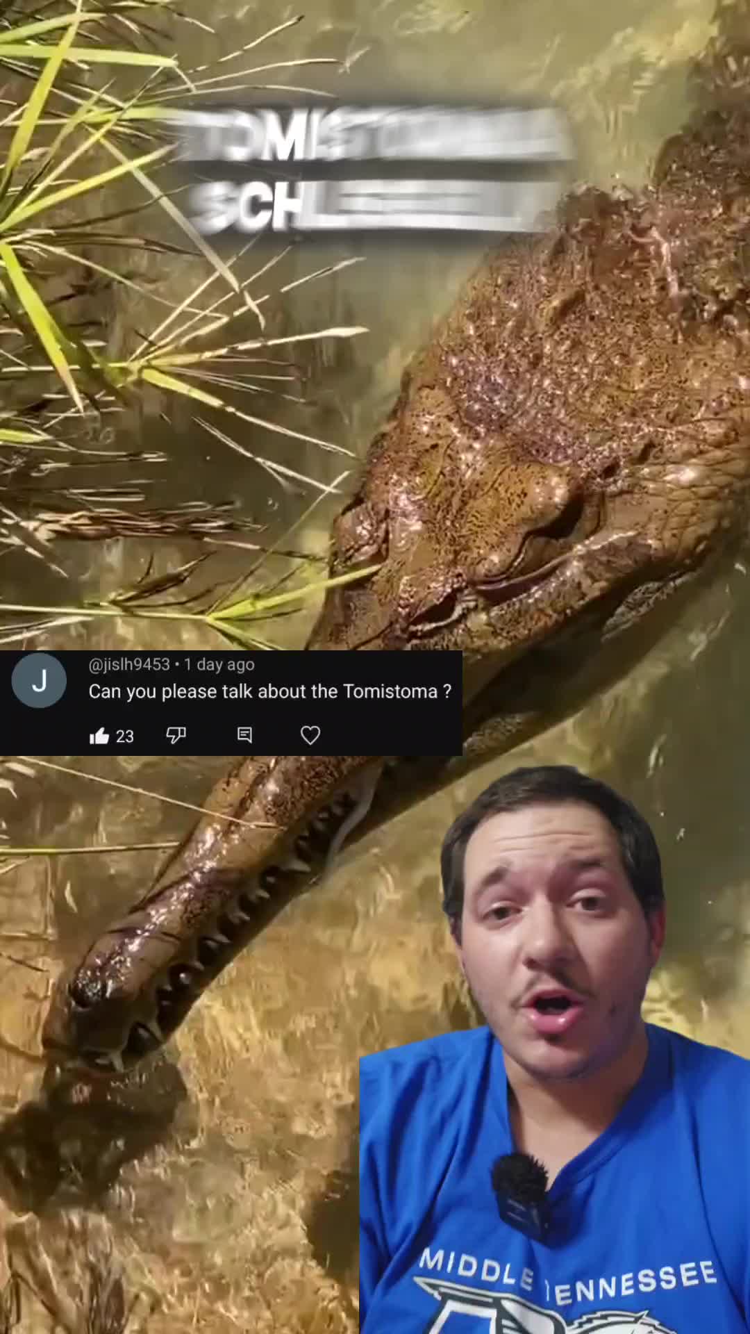 @Dna Reptiles