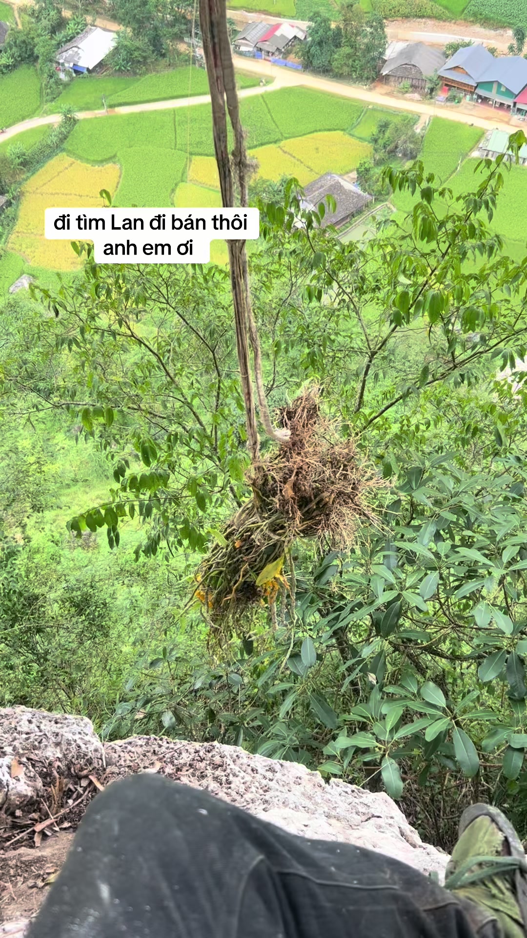 @L&Iacute;U  🇻🇳☣️