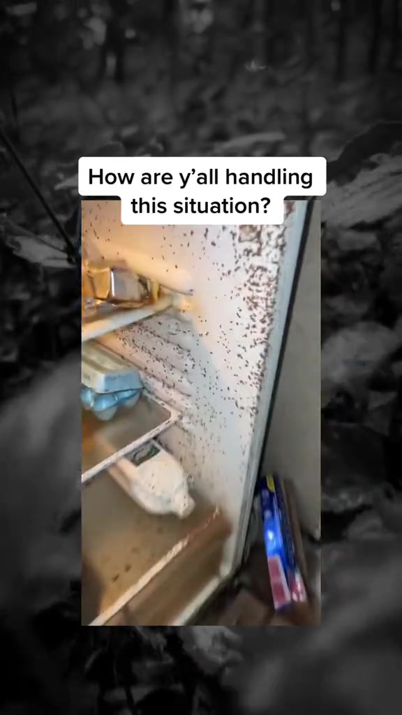 @SCARYVIDEOS