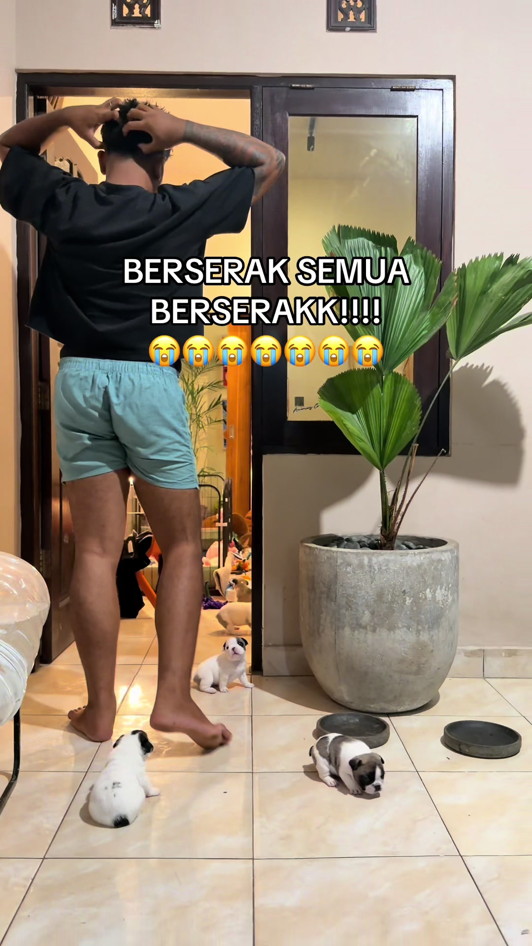 @Mak sambung