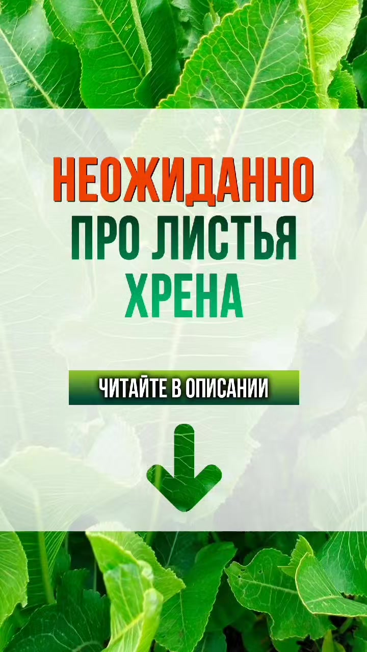 @ЗОЖнавигатор