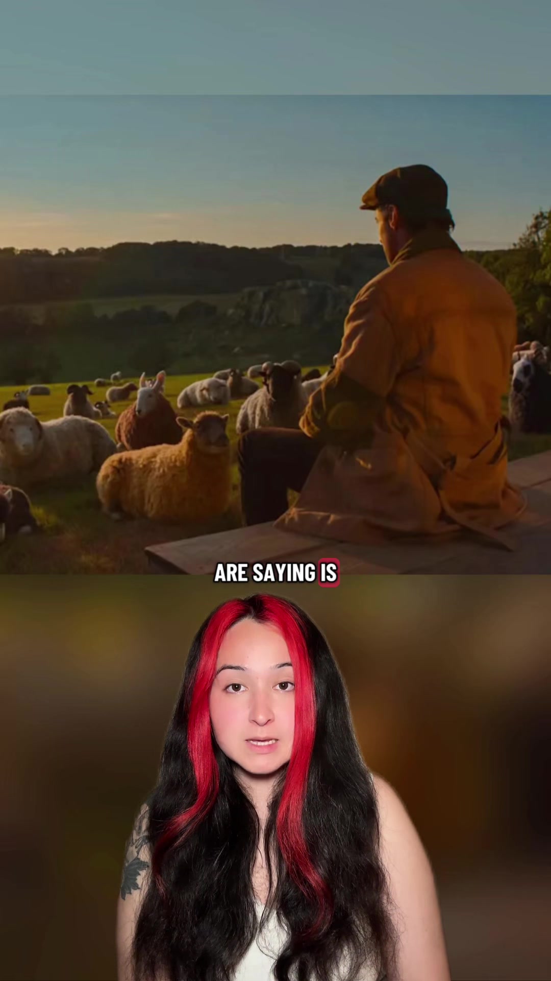@Allie Tran