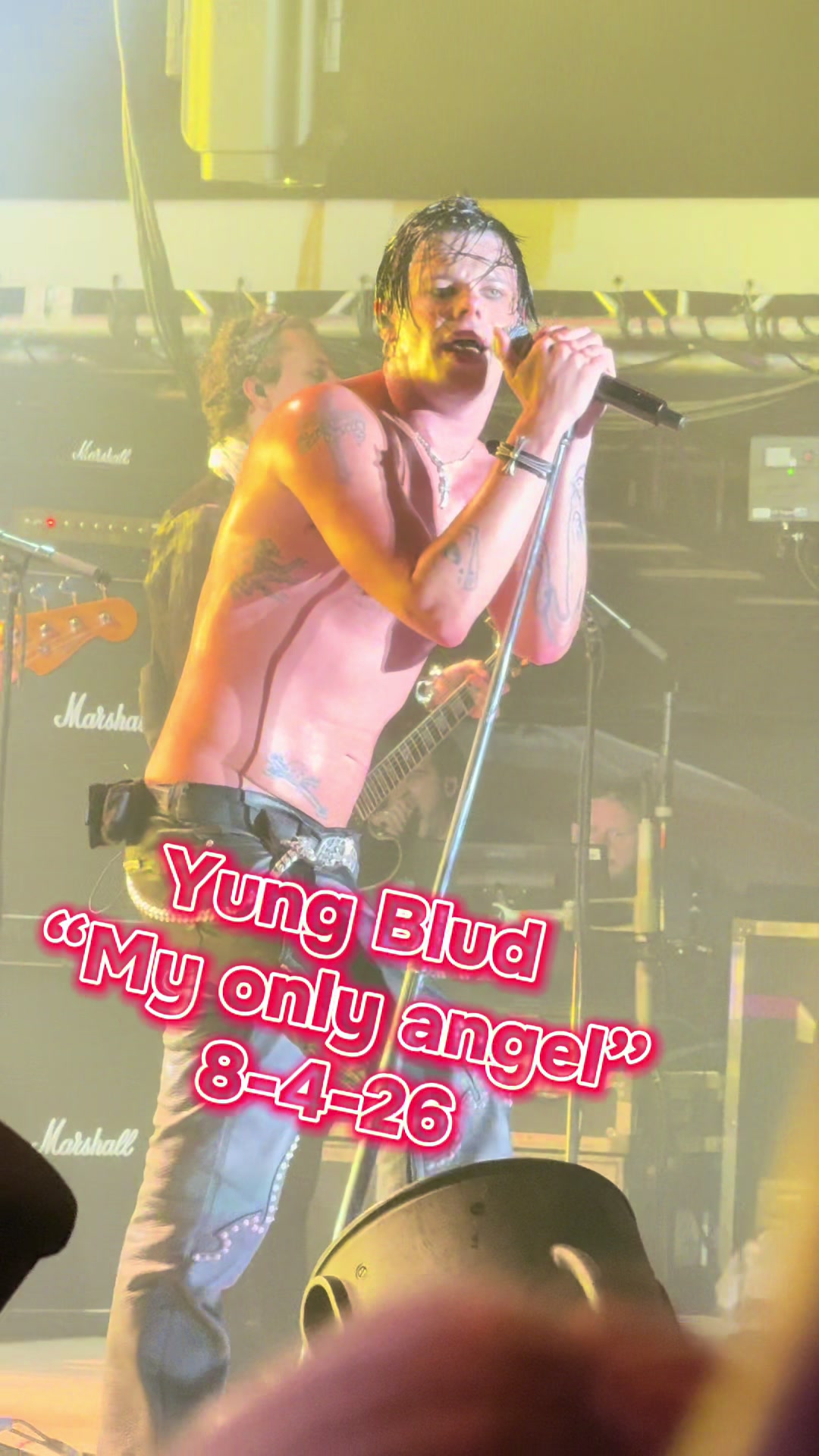 @Concertjunky1