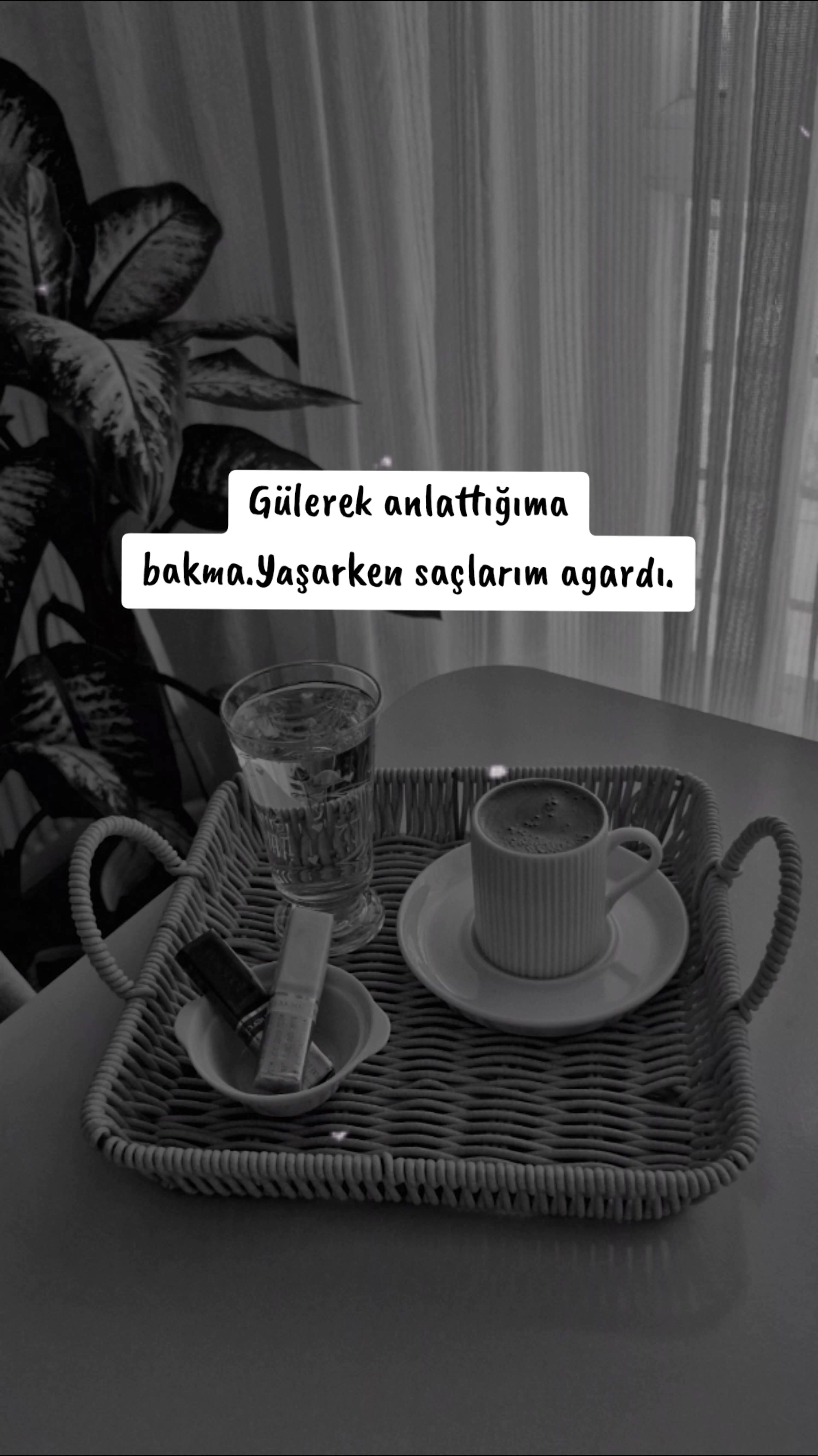 @Damla_s_55.19