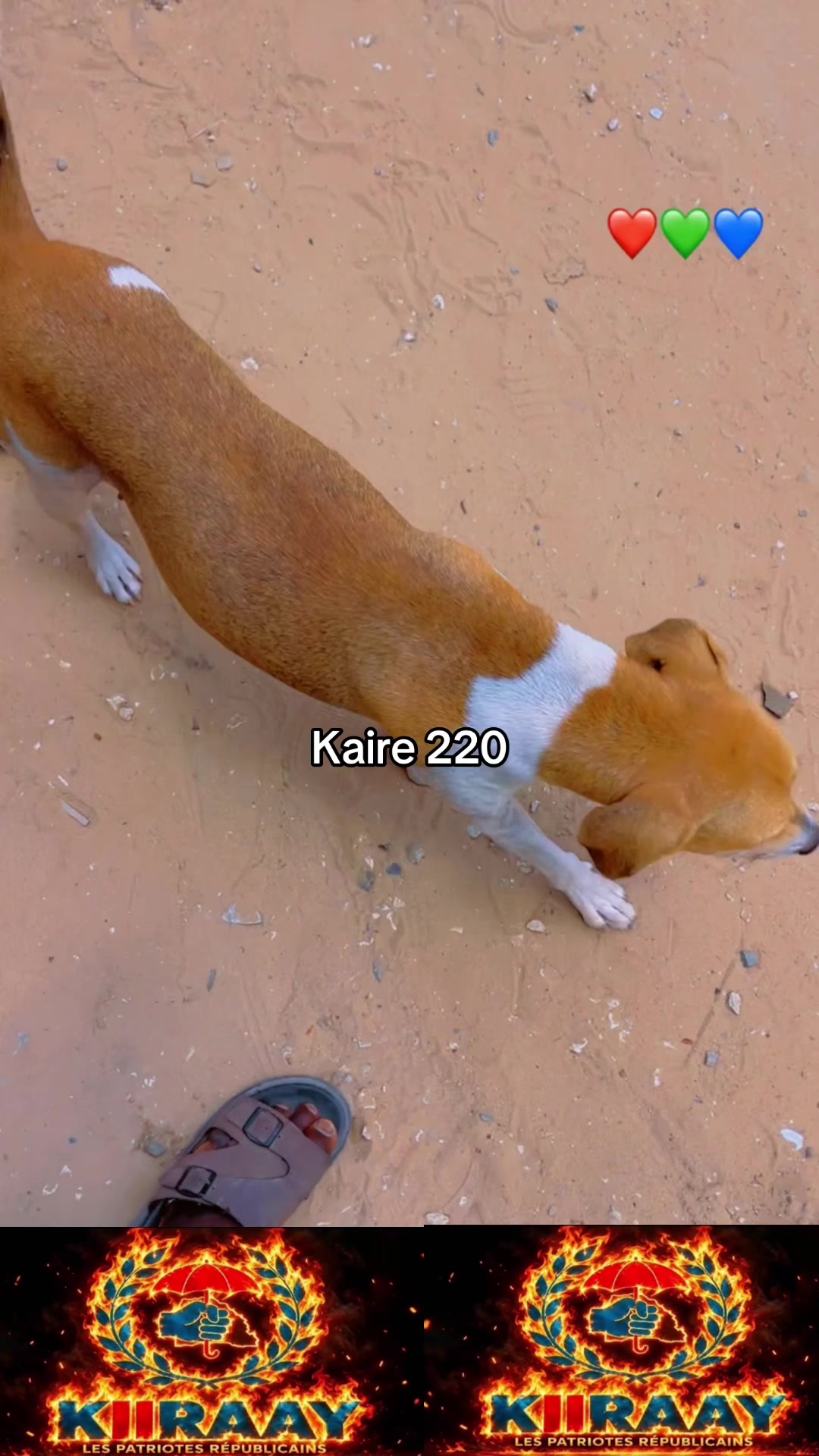 @kaire sonko 220