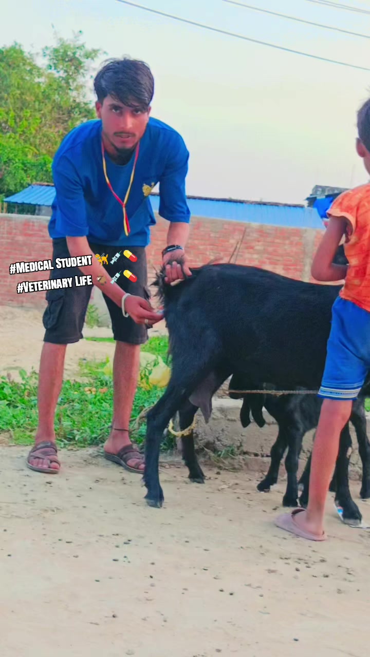 @🐐🦮💉Medical Student💉💉🦮💊