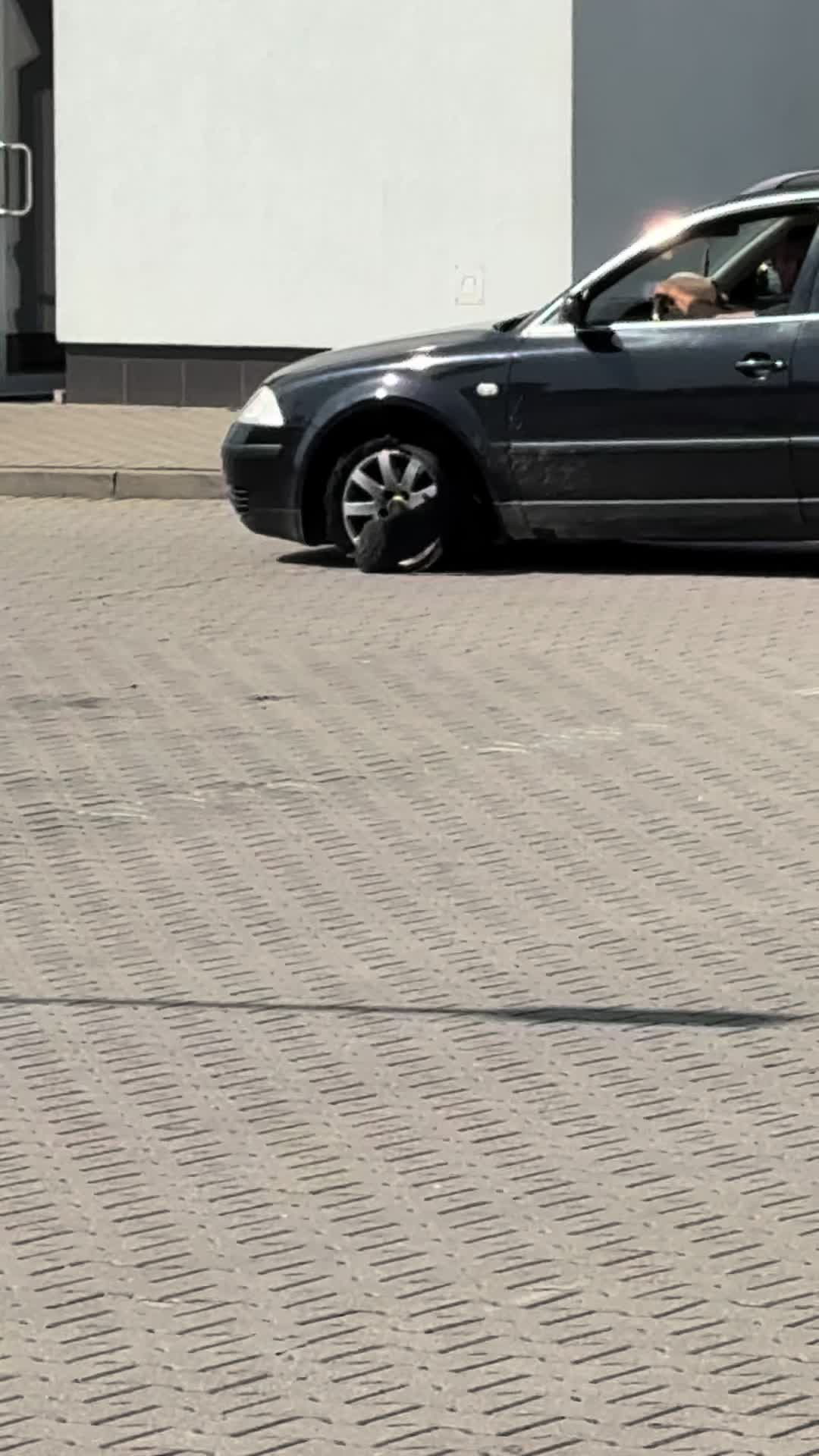 @Quadowiec Z Afryki