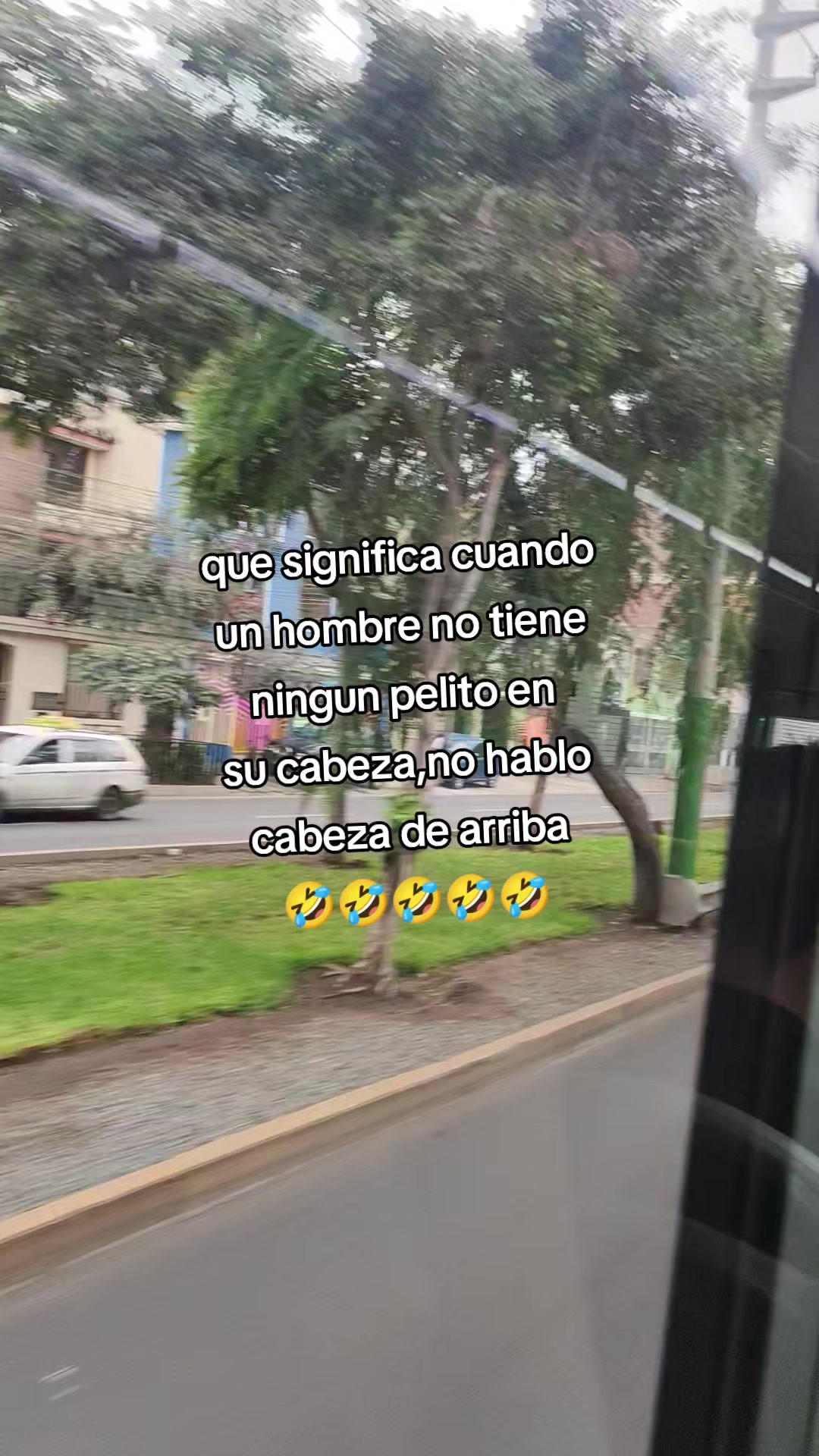 @gatita