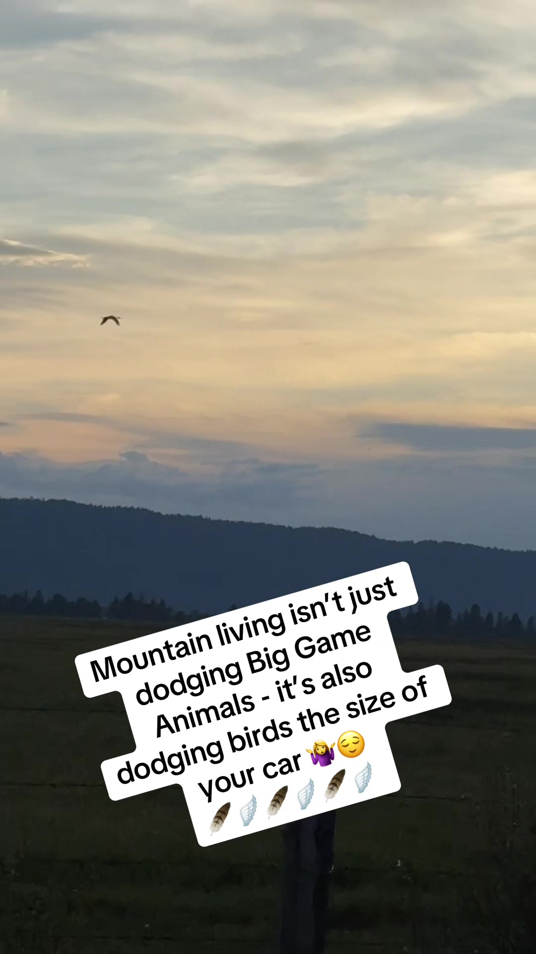 @🏔️Idaho Outdoors Brandi🌲🏔️