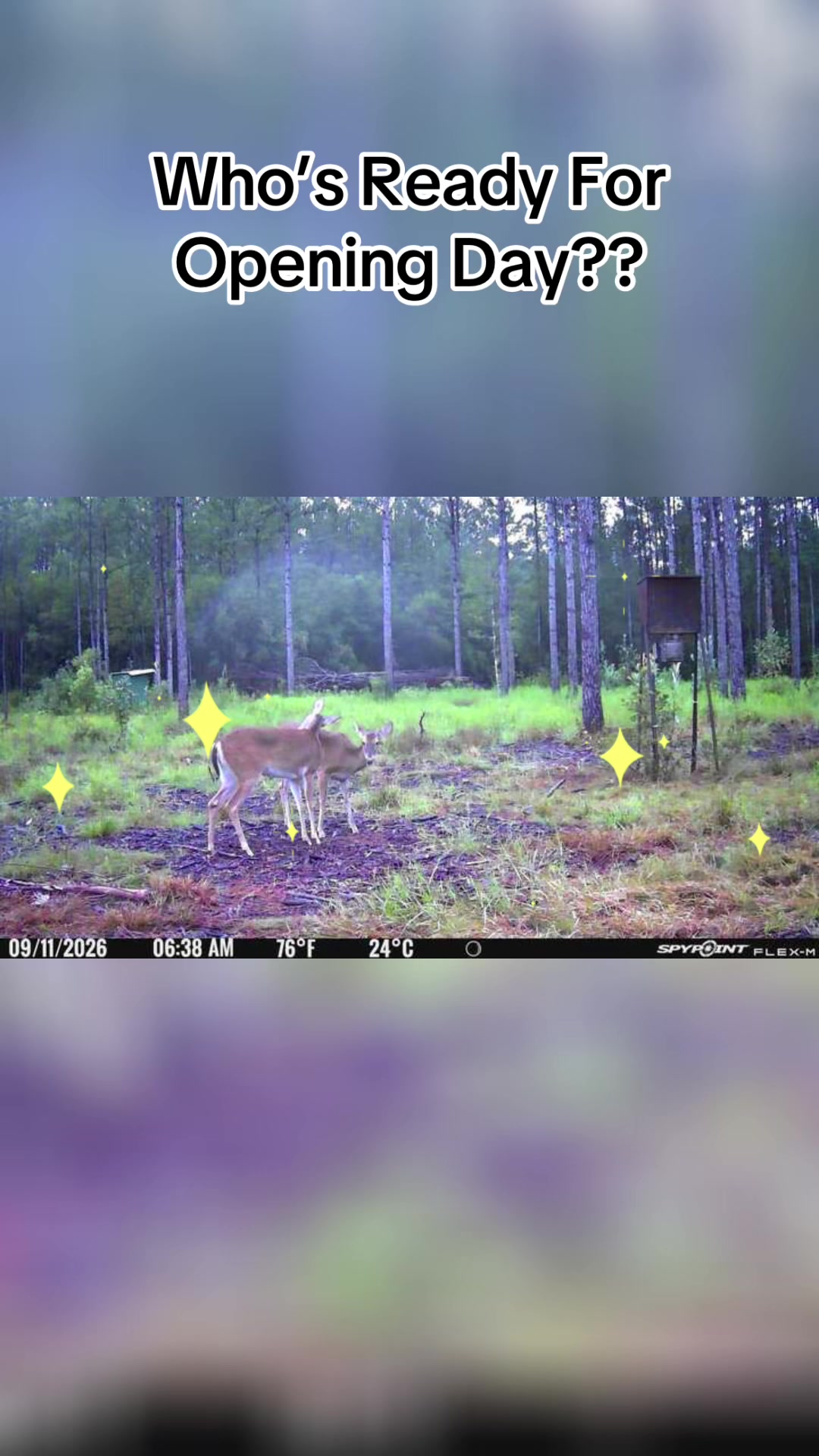 @devotedsportsmen23