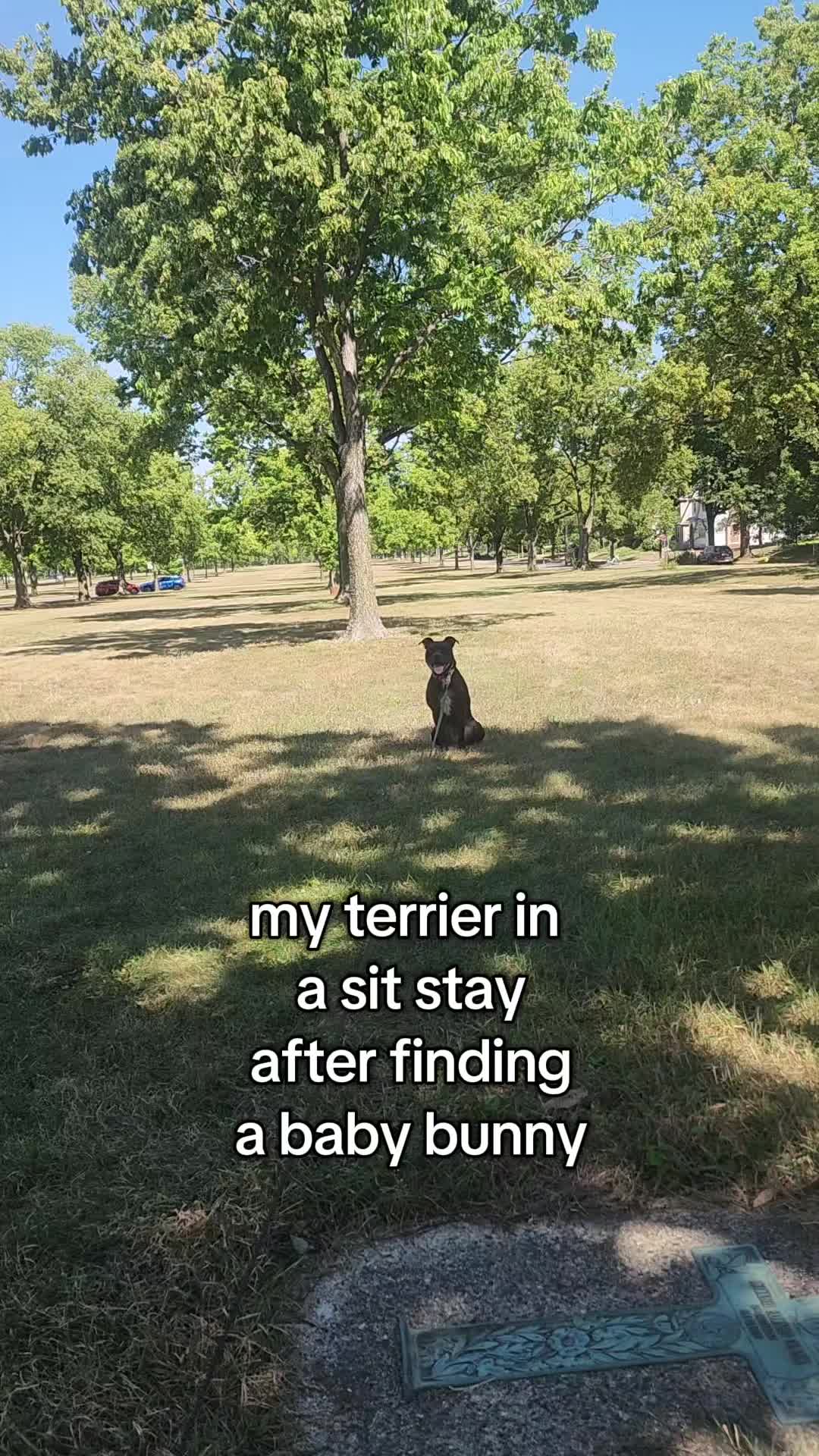 @abugstory