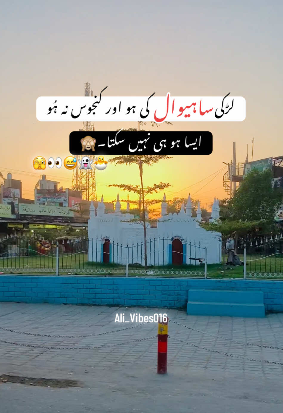 @Ali_Vibes016
