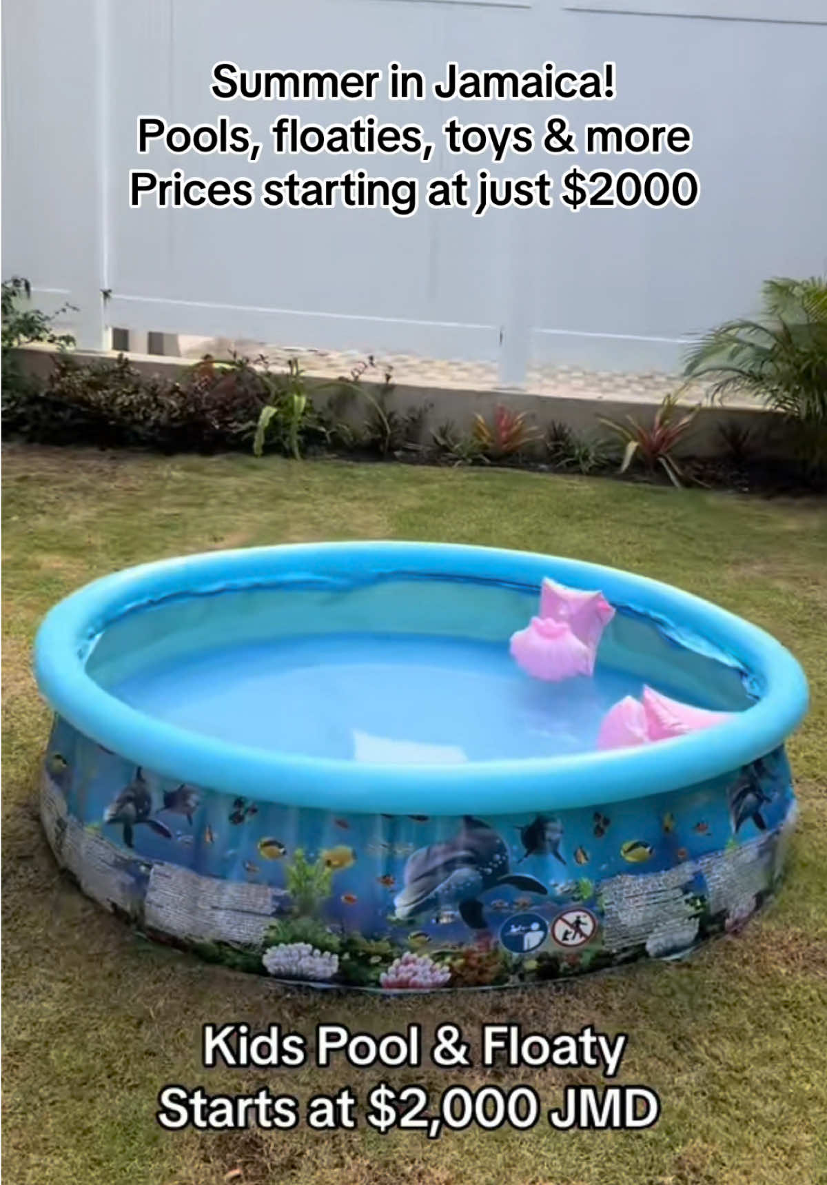 @Toddler Kingdom