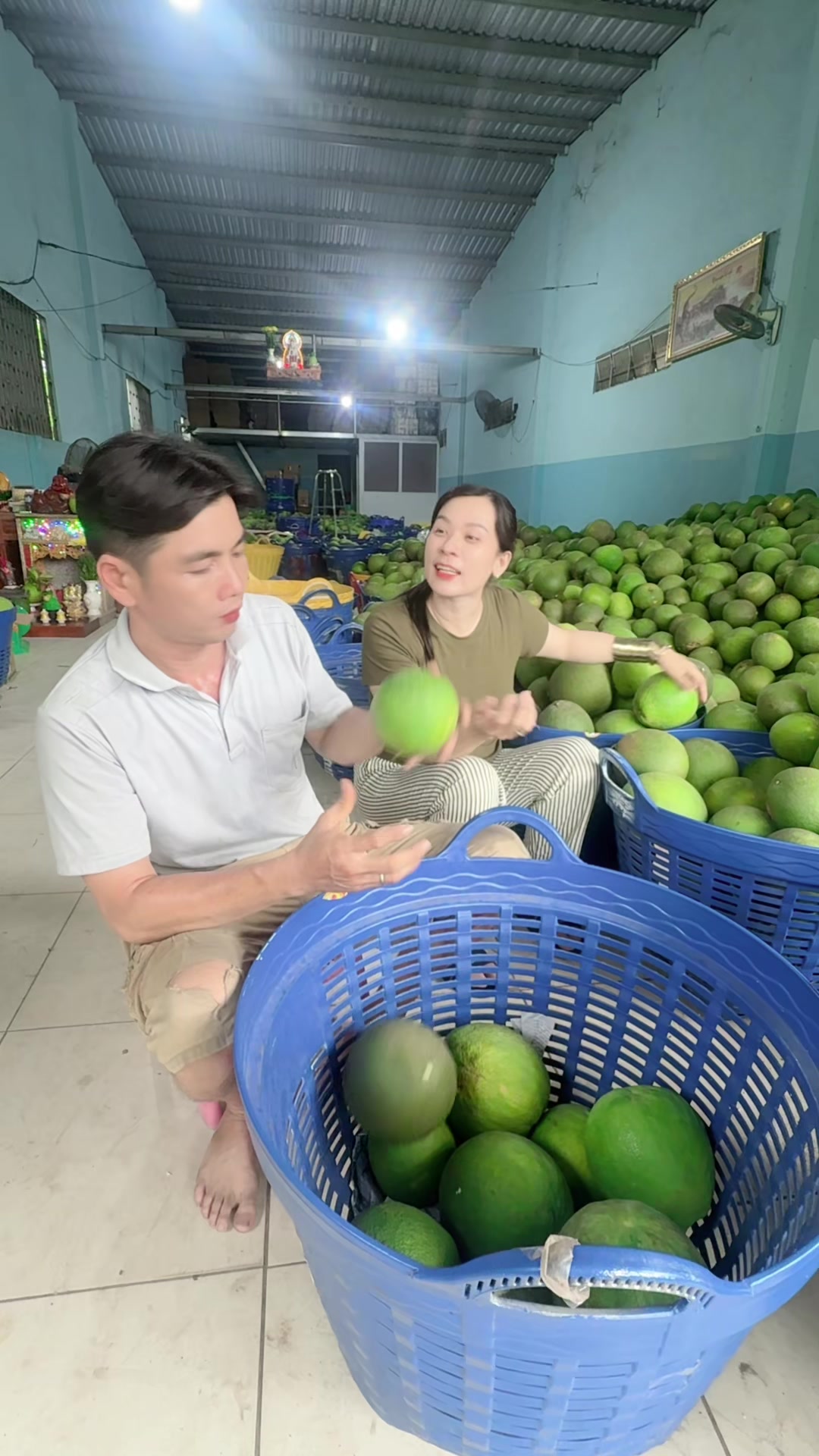 @Bàn tay nhỏ 63B3