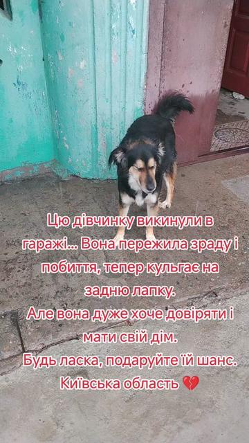 @viktoria)