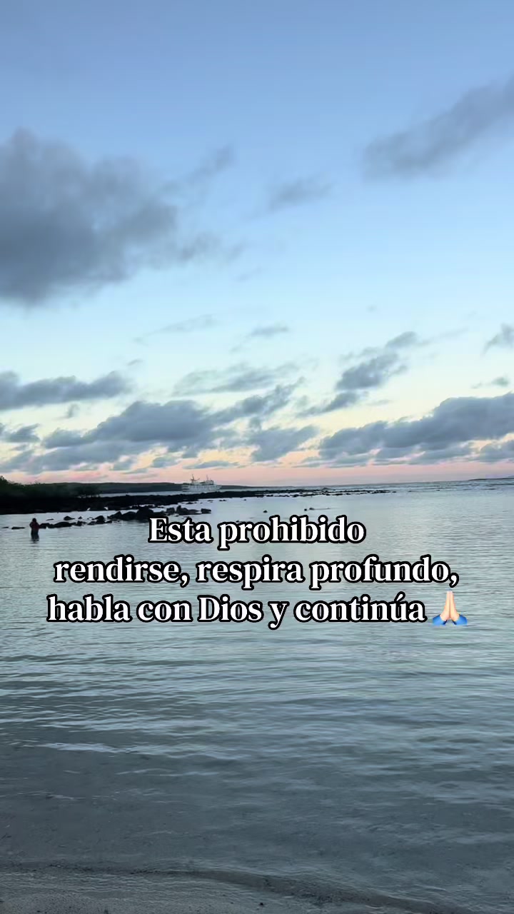 @Evelyn Alvarez