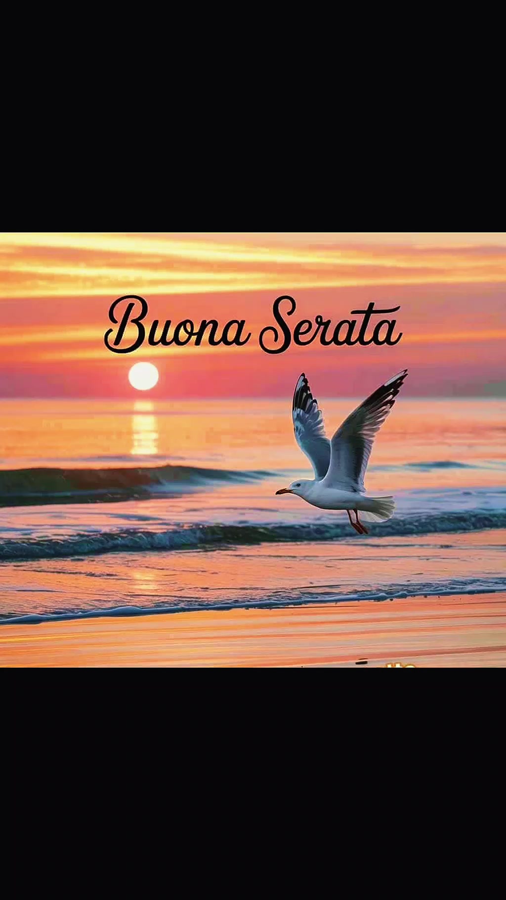 @alessandramarchi726