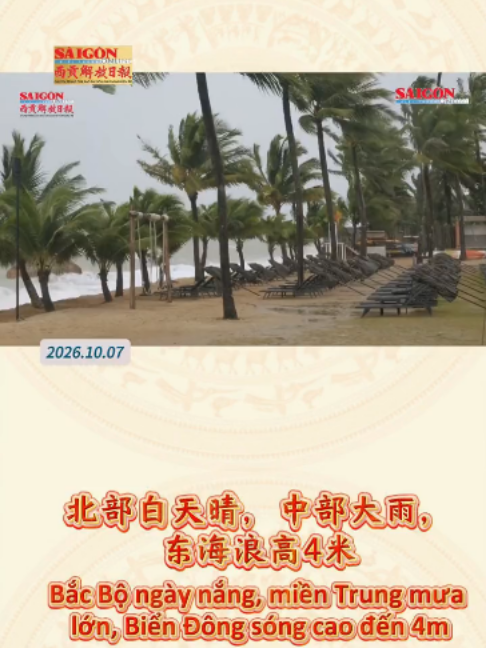 @西贡解放日报-Báo SGGP bản Hoa văn