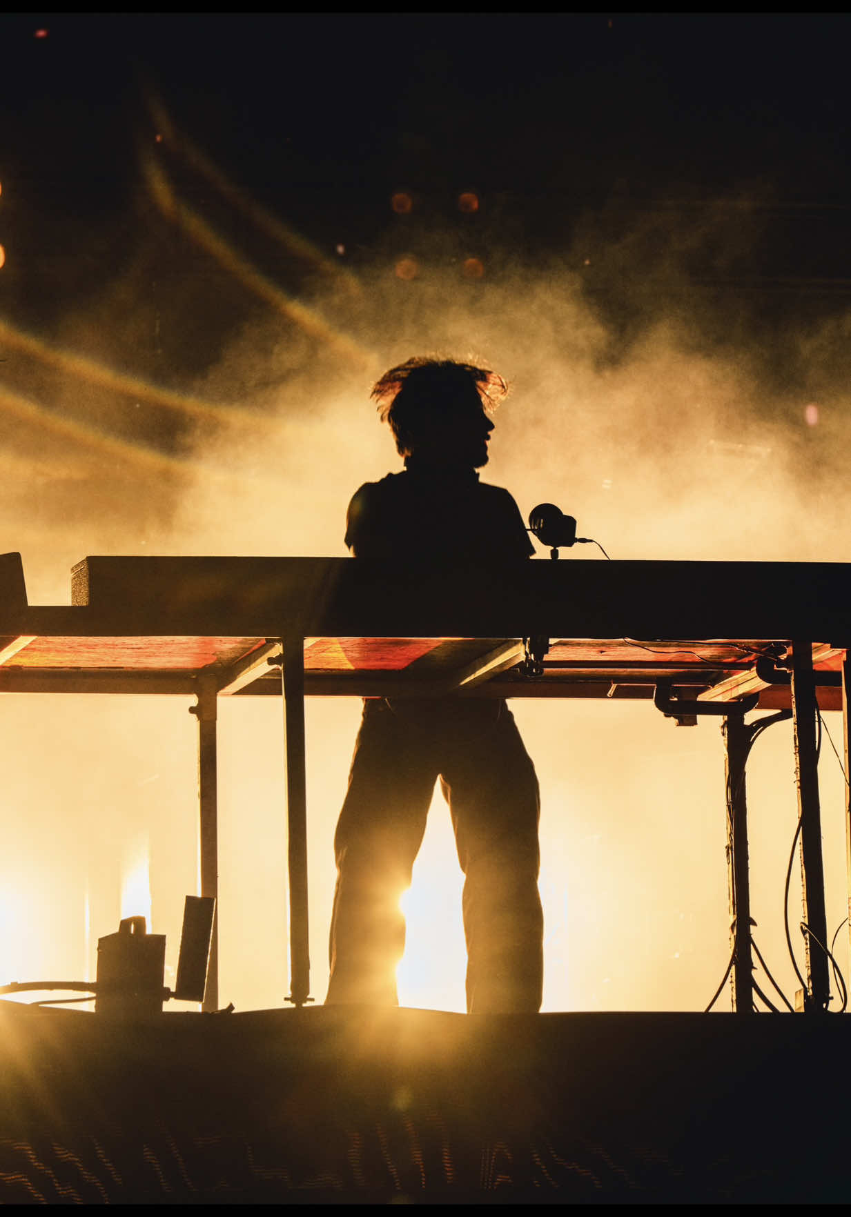 @lollapaloozaar