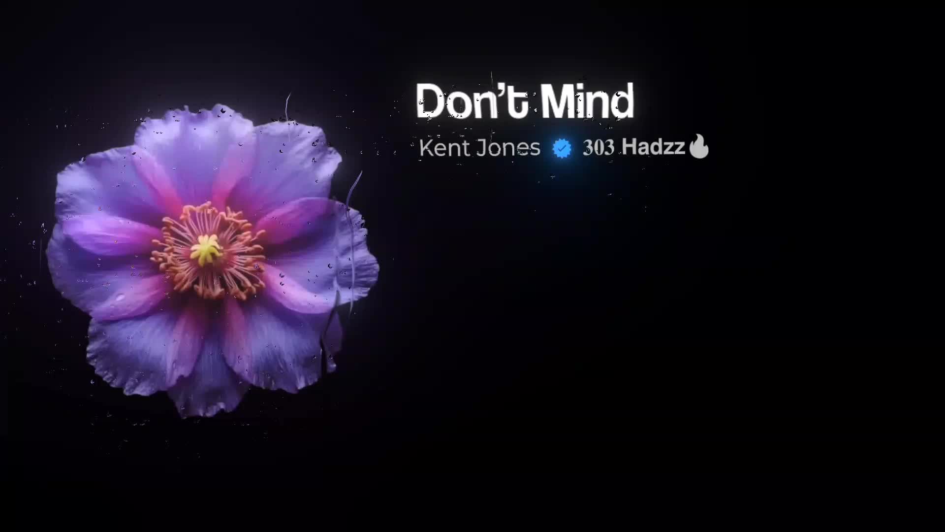 @𝟑𝟎𝟑 𝗛𝗮𝗱𝘇𝘇🔥