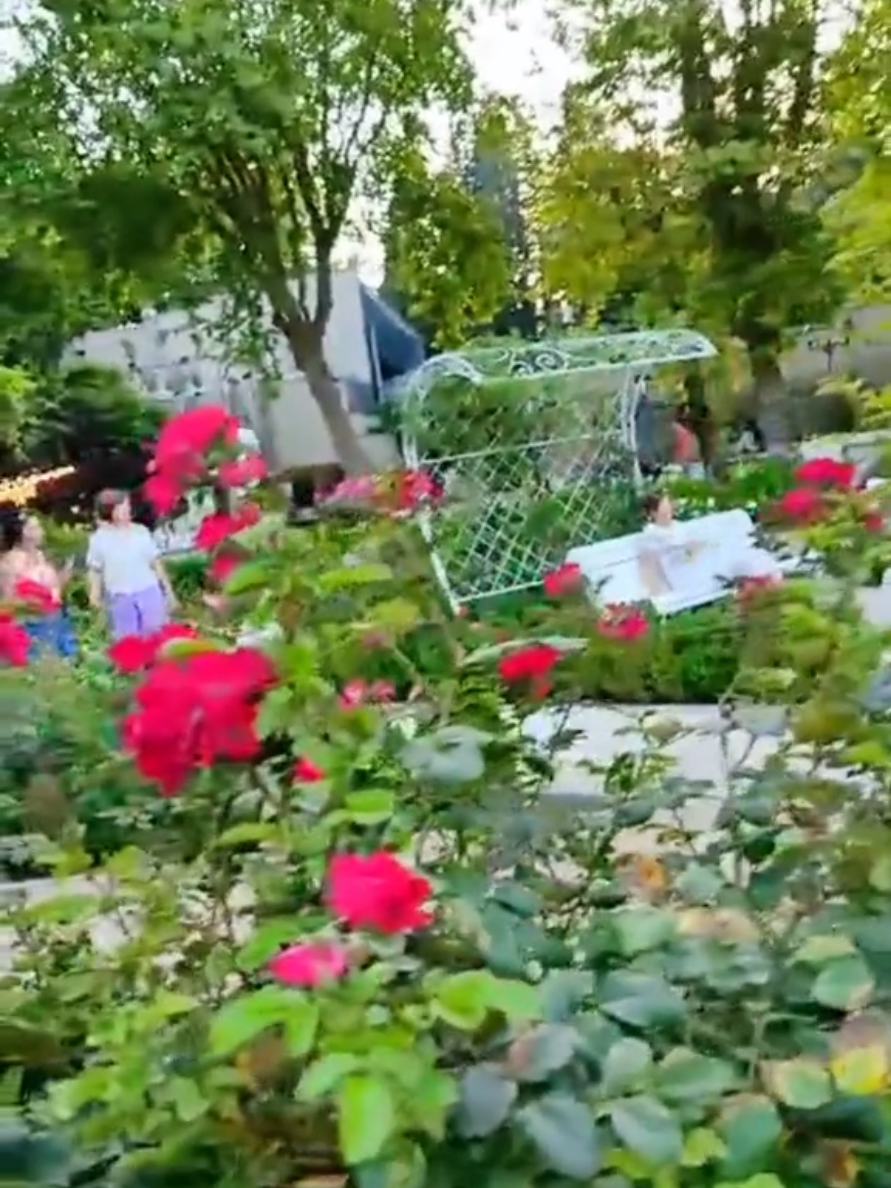 @Марина 🌹🍃