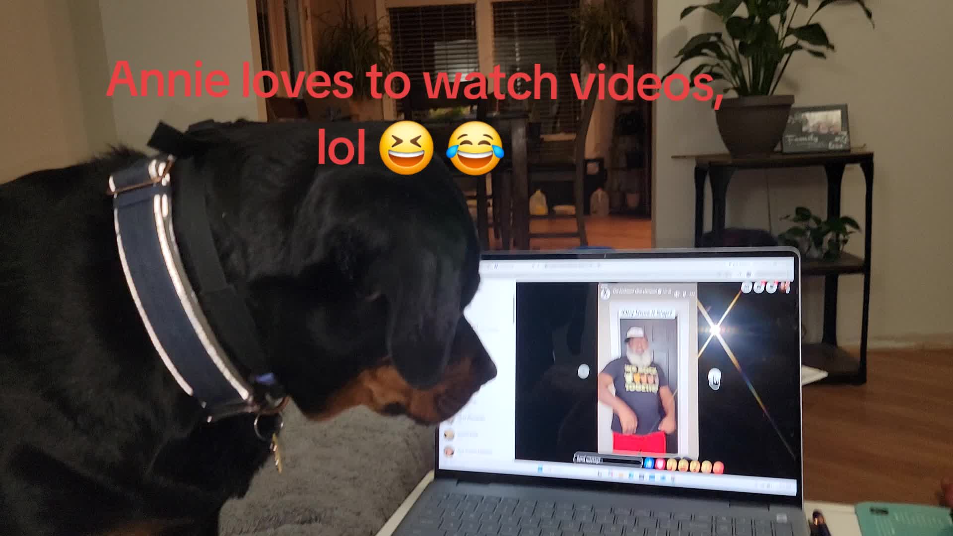 @crazymomfiske