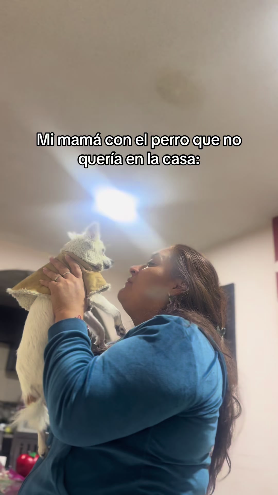 @Fernanda ZL