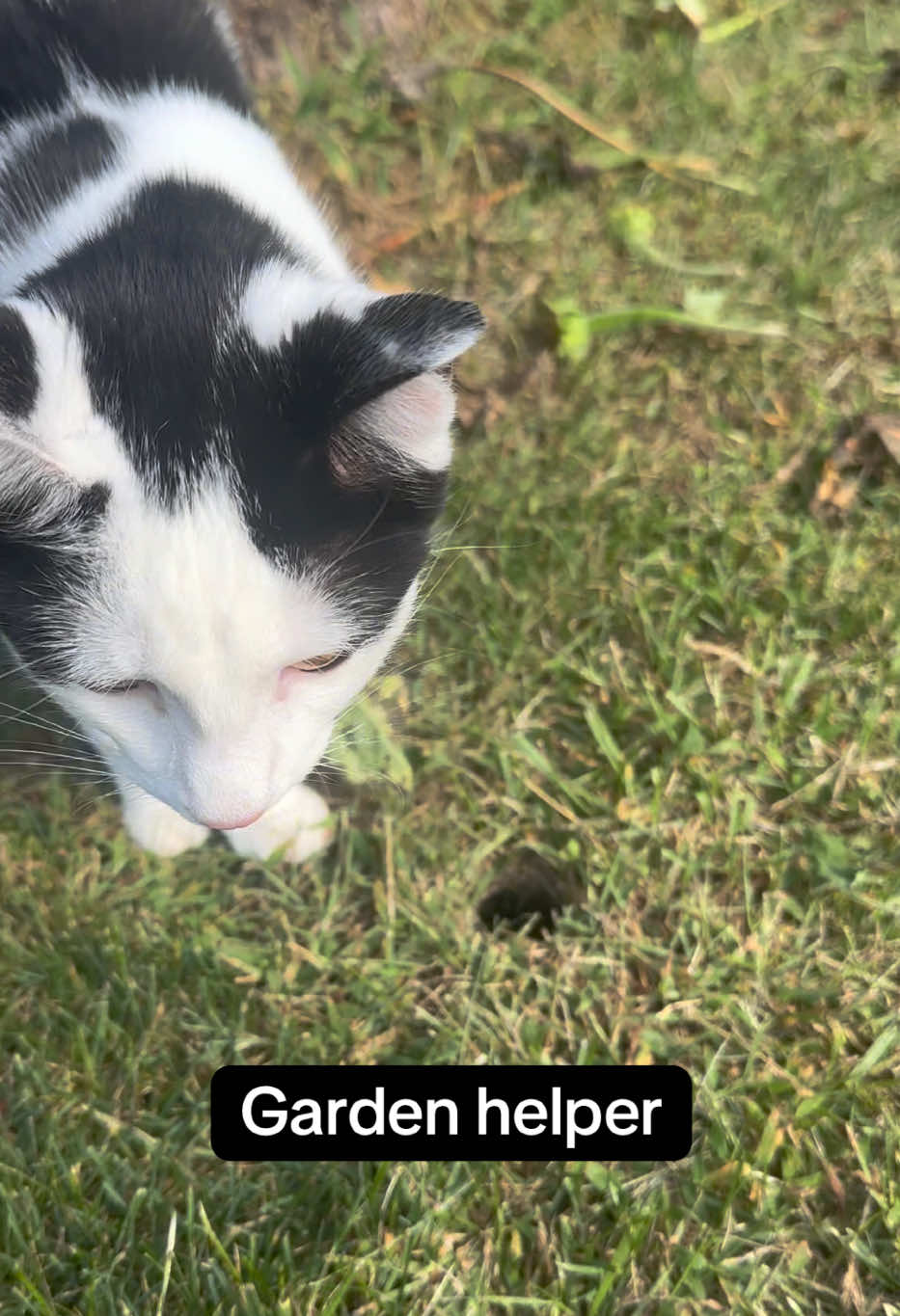 @cindy_clawpurrrr