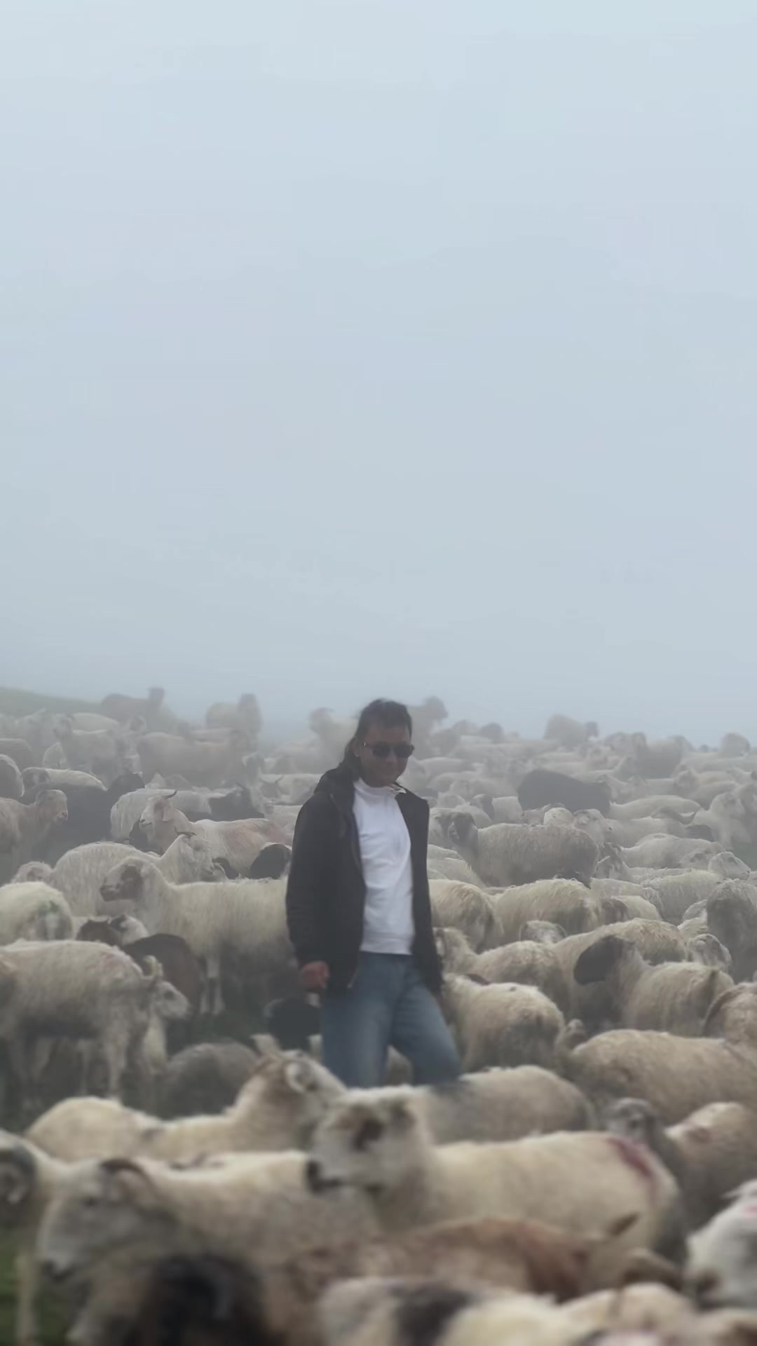 @Amar (डुलुवा केटो)