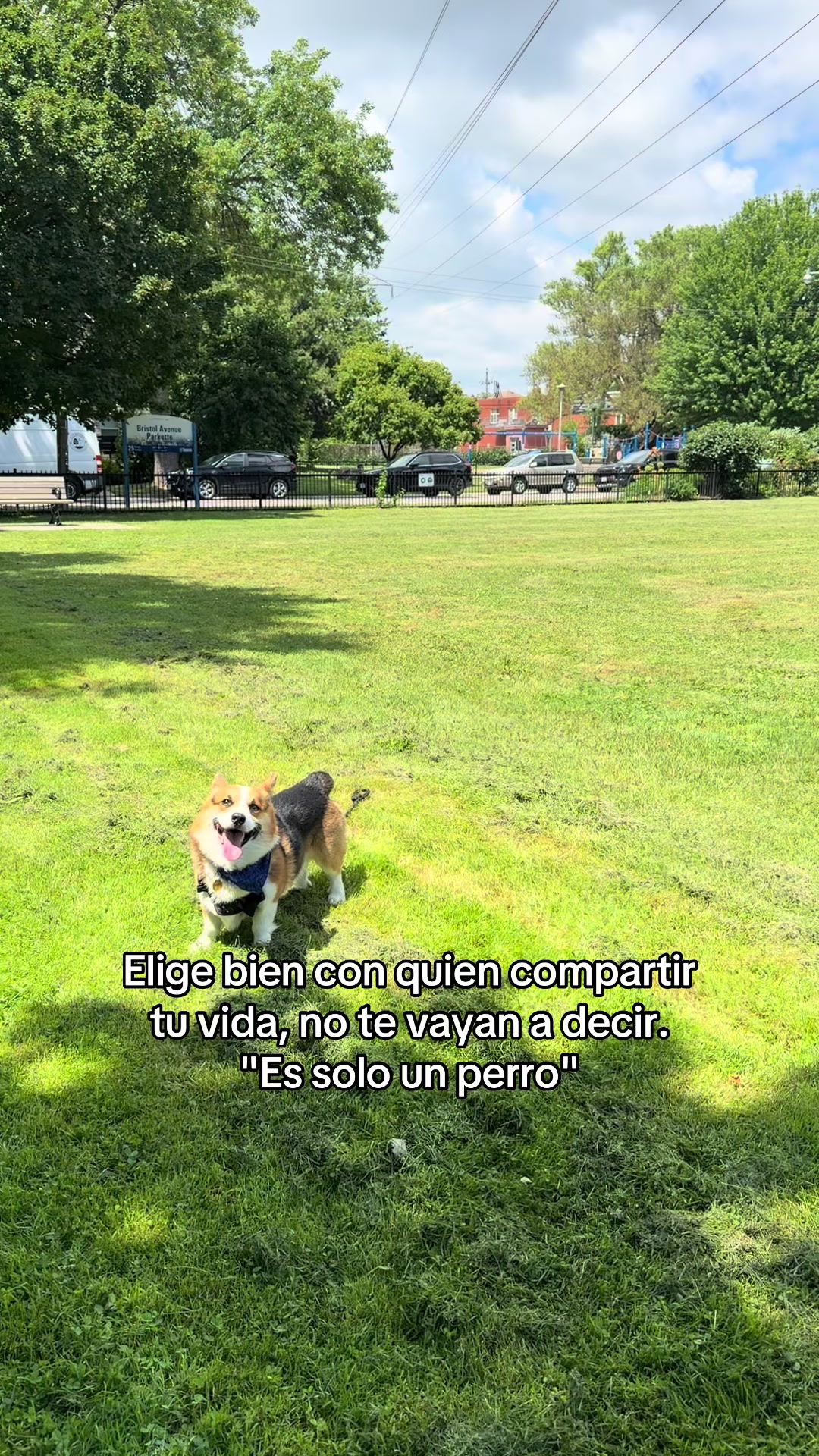 @Pako 🇲🇽🇨🇦