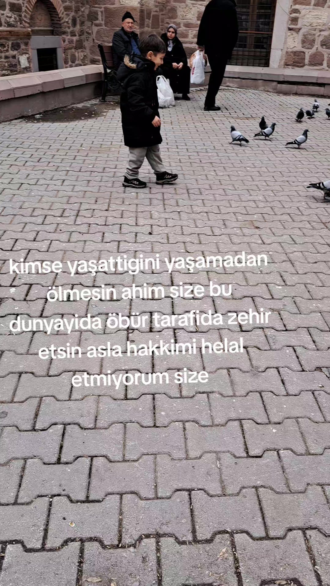 @seven fatma