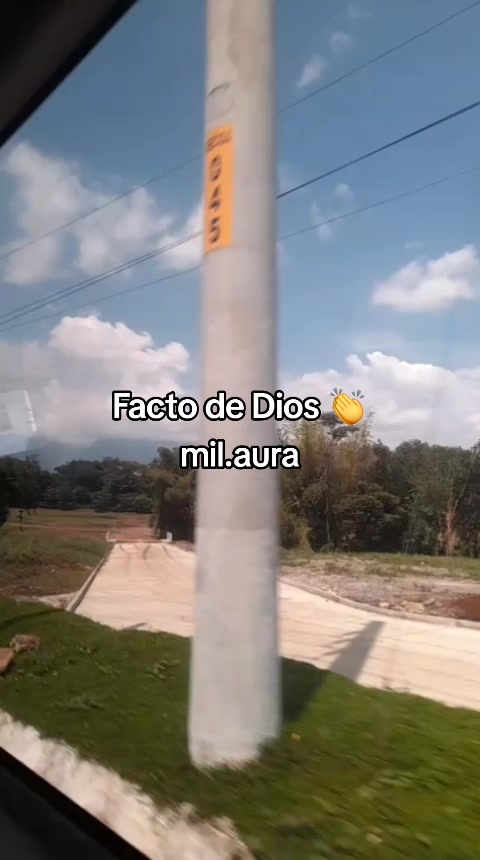 @frank Tzep Quemá🦁