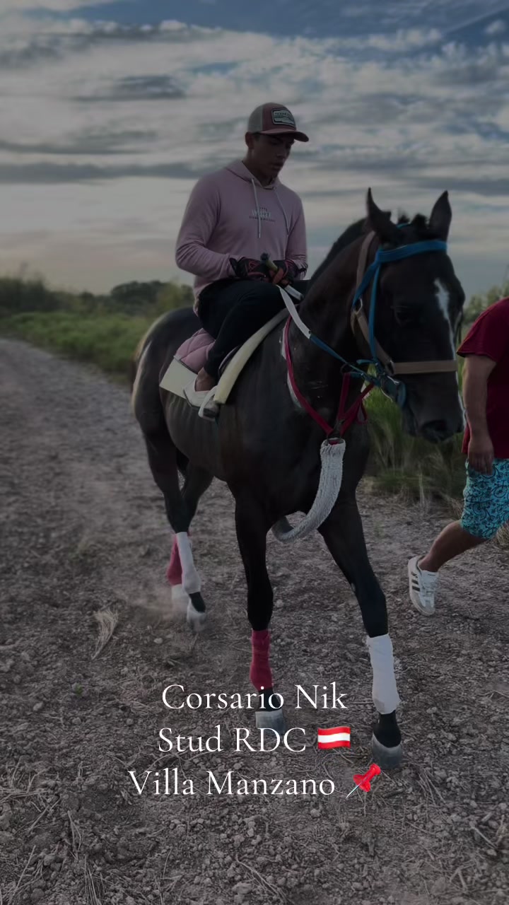 @Nico 🇦🇹🇦🇷