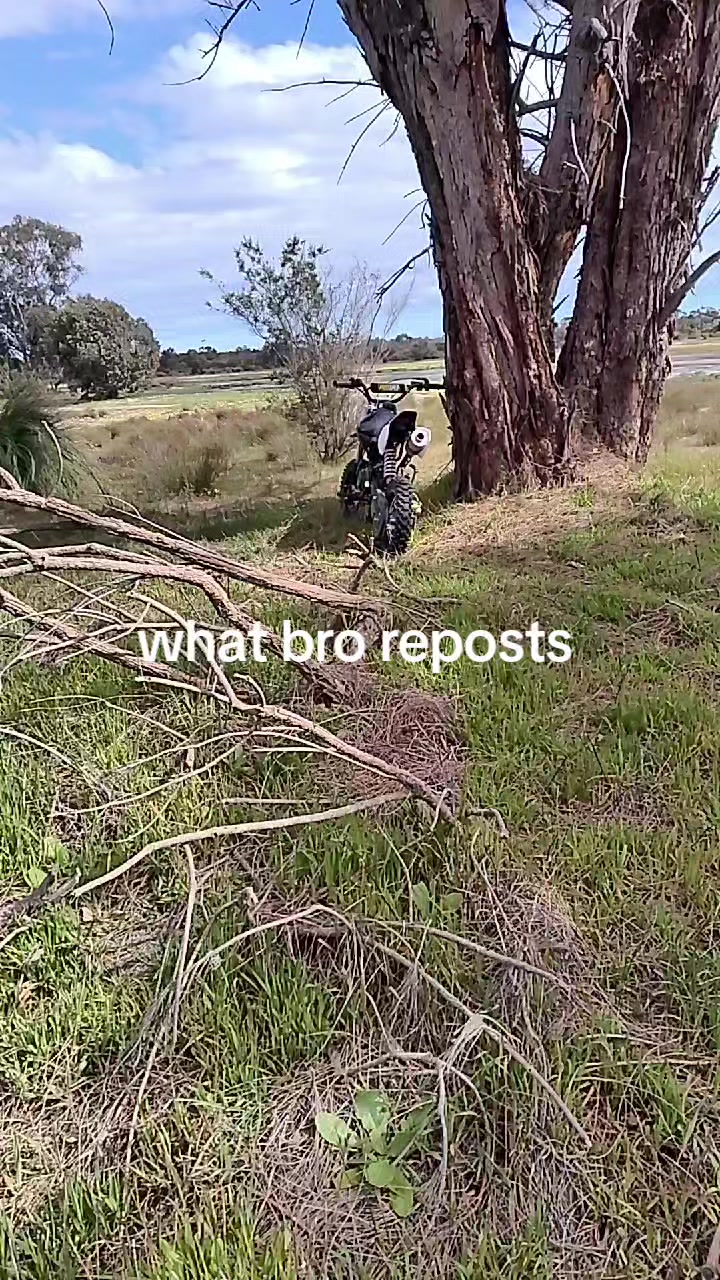 @derboi15+125cc