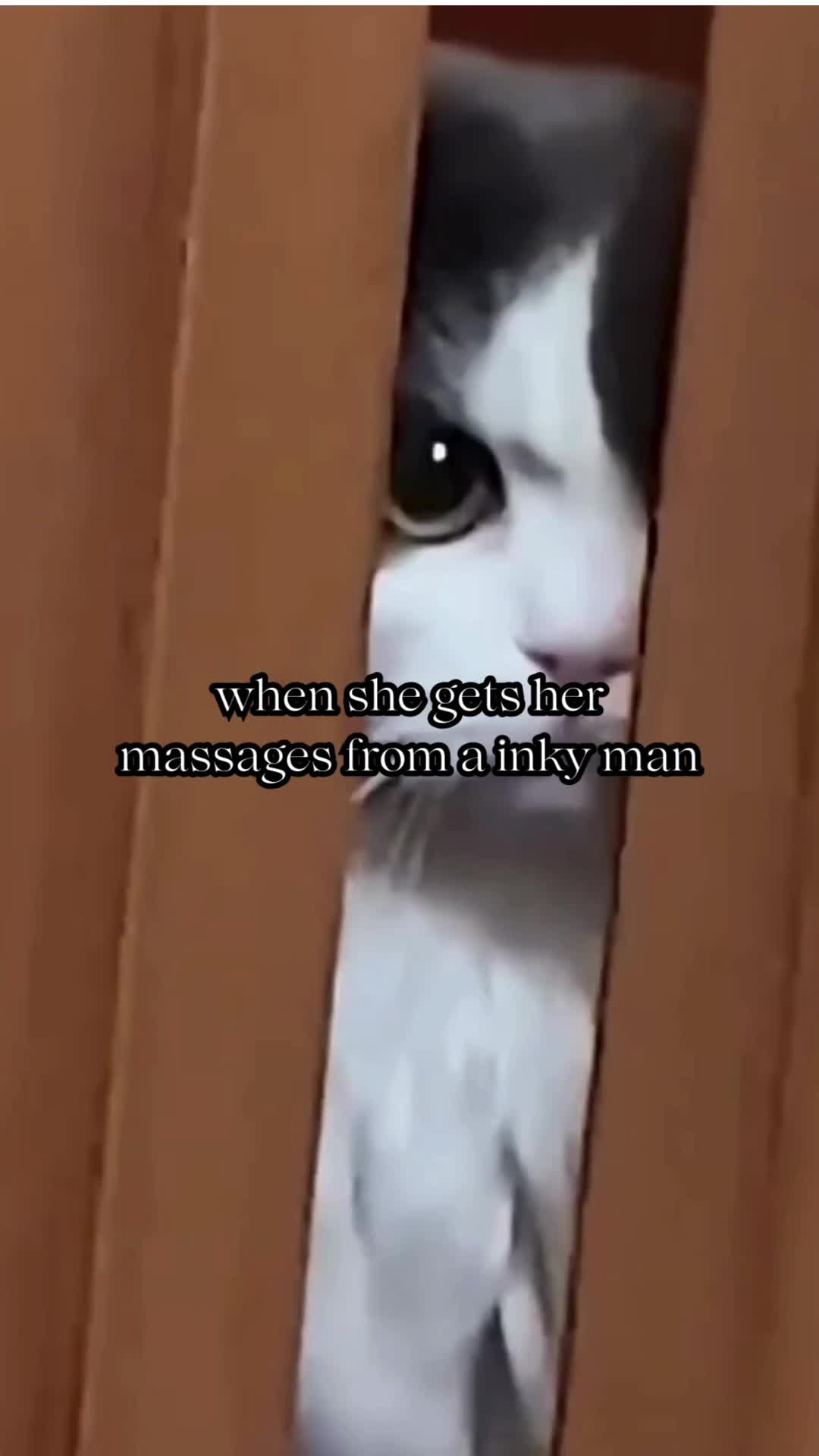 @BabaBear