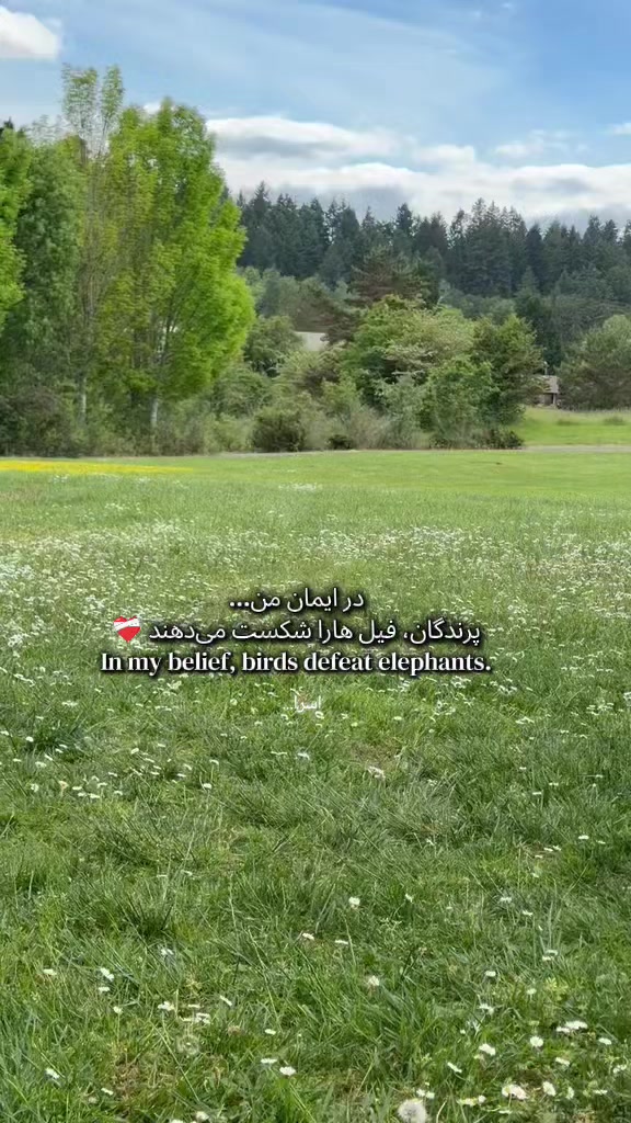 @💠گـل همیشه بـهار💠